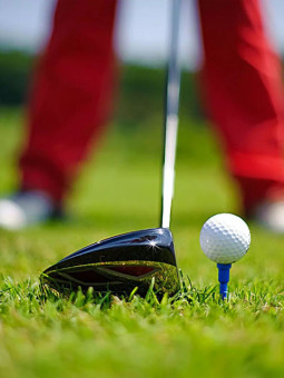 Základní členství v...